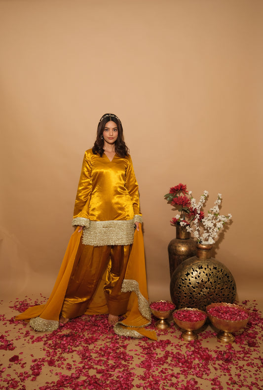Elvora Farsi Salwar Set