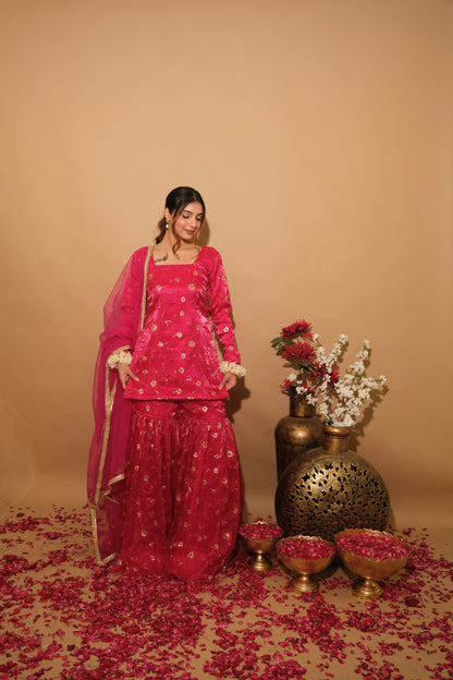 Juvrani Sharara Set